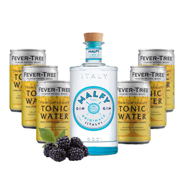 Malfy Originale Gin online kaufen